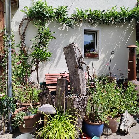 Gartenzimmer Mit Strassenbahn Zu Dom Und Messe Cologne Exterior photo
