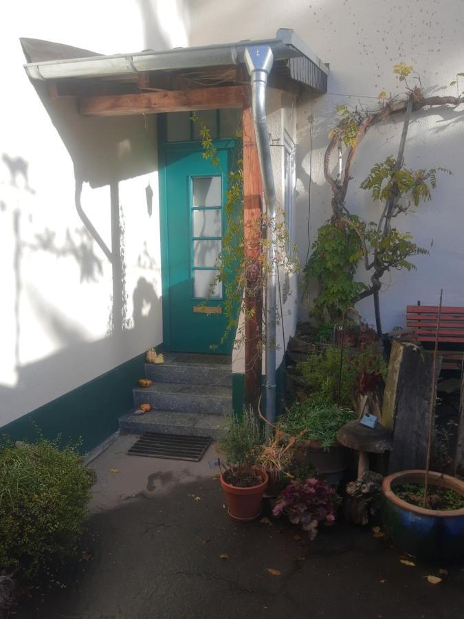 Gartenzimmer Mit Strassenbahn Zu Dom Und Messe Cologne Exterior photo